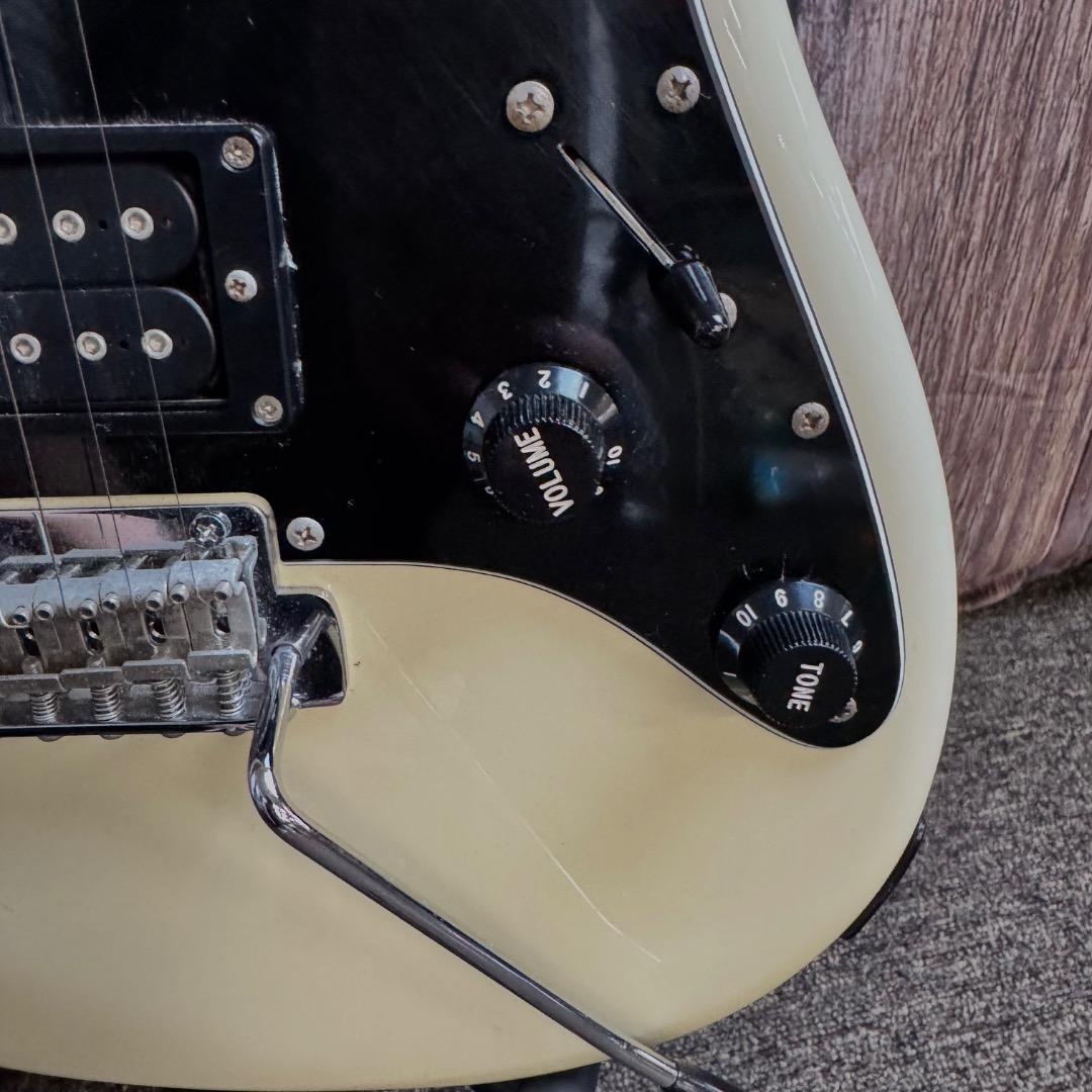 FERNANDES THE FUNCTION エレキギター ギターケース付