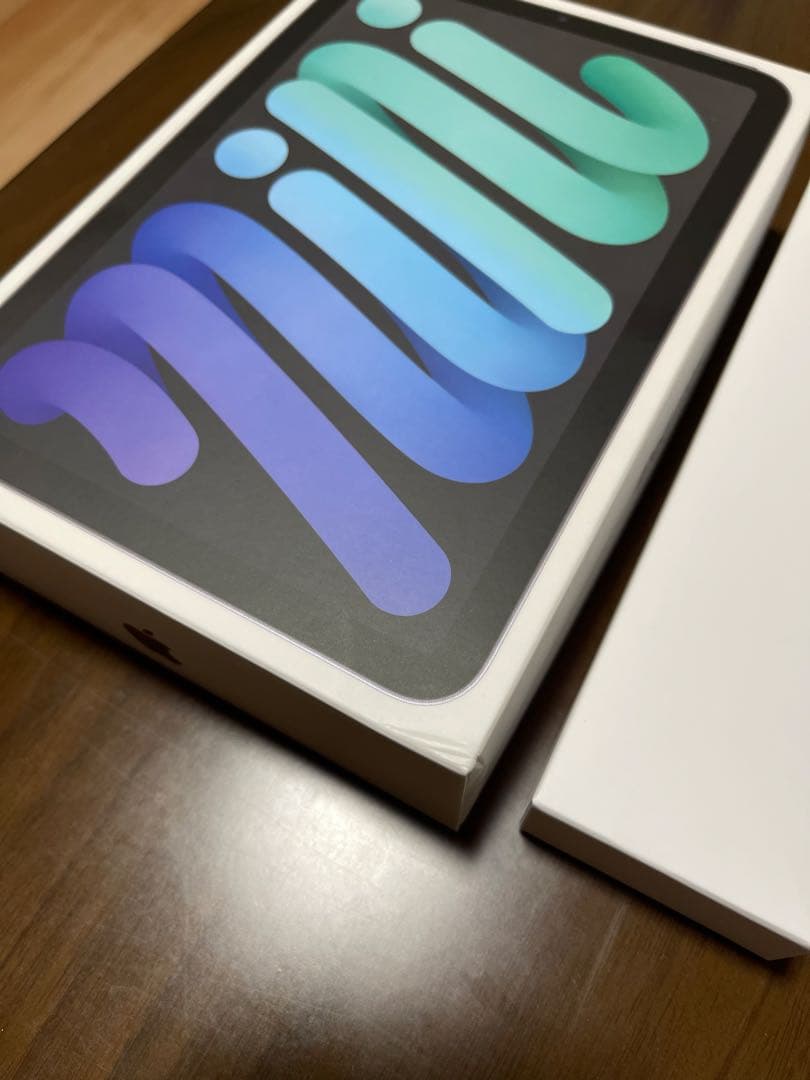 iPad mini 第6世代 Cellular Apple Pencil付き