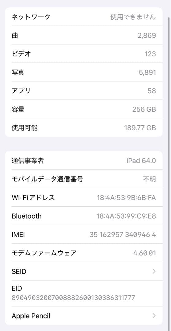 iPad mini 第6世代 Cellular Apple Pencil付き