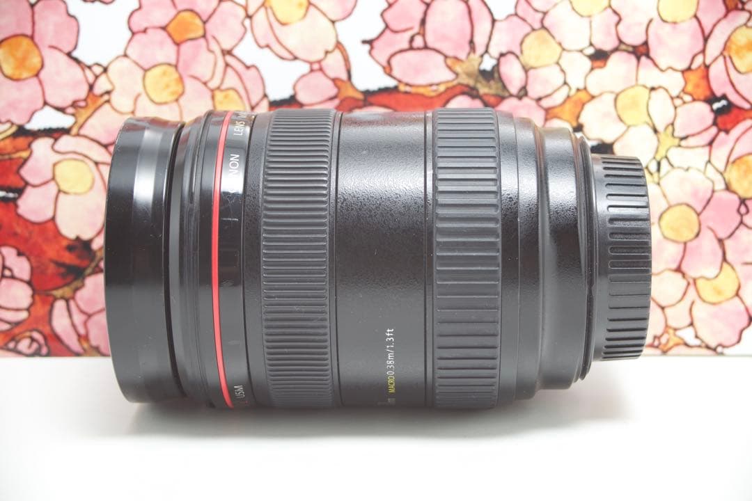 ❤大三元レンズ❤キヤノン EF 24-70mm f2.8 L USM❤