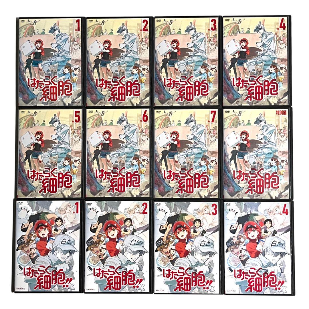 新品ケースDVD 「 はたらく細胞 」 1期・特別編・2期 全12巻 豪華セット