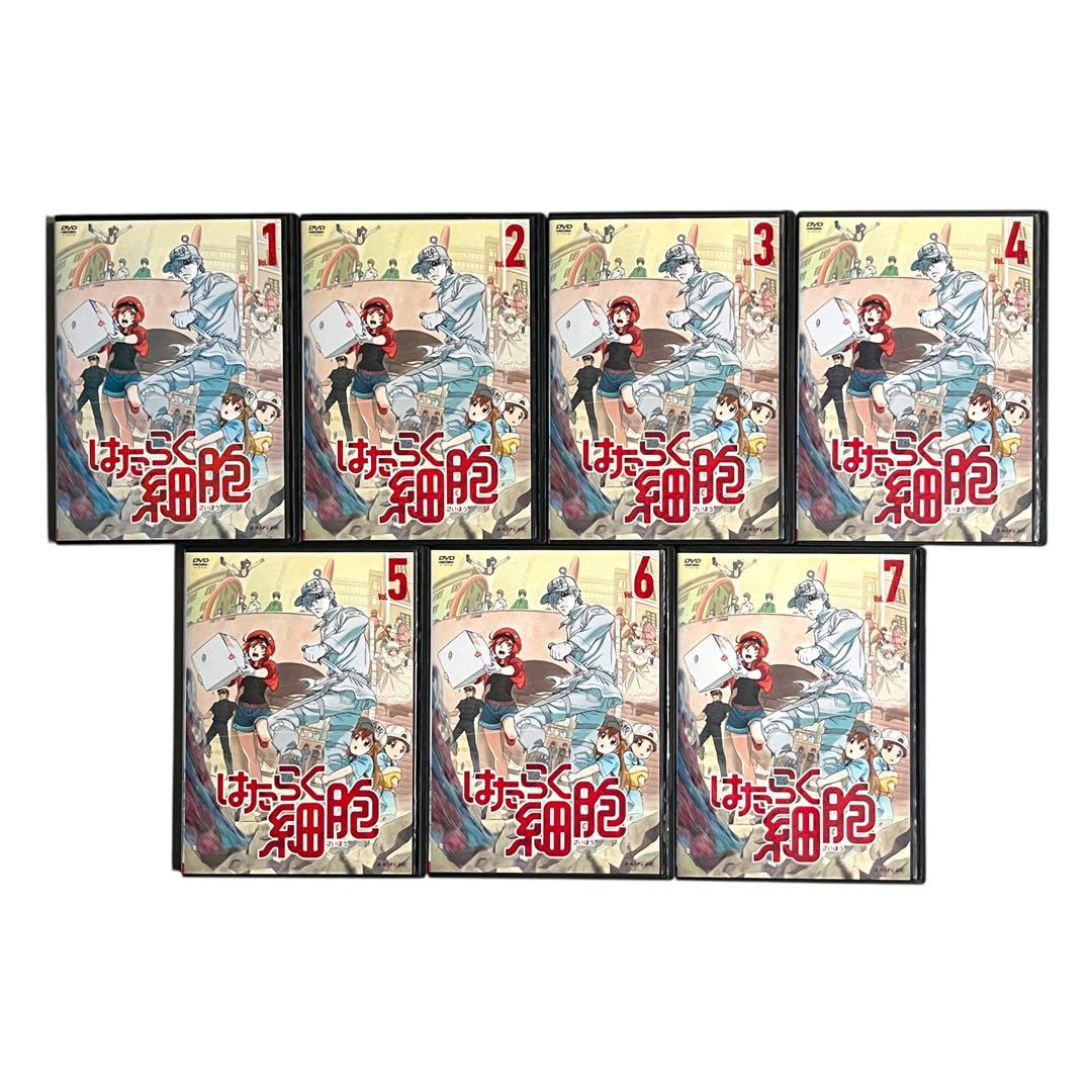 新品ケースDVD 「 はたらく細胞 」 1期・特別編・2期 全12巻 豪華セット