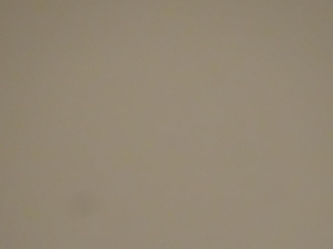 SONY ソニー Cyber-shot DSC-WX350