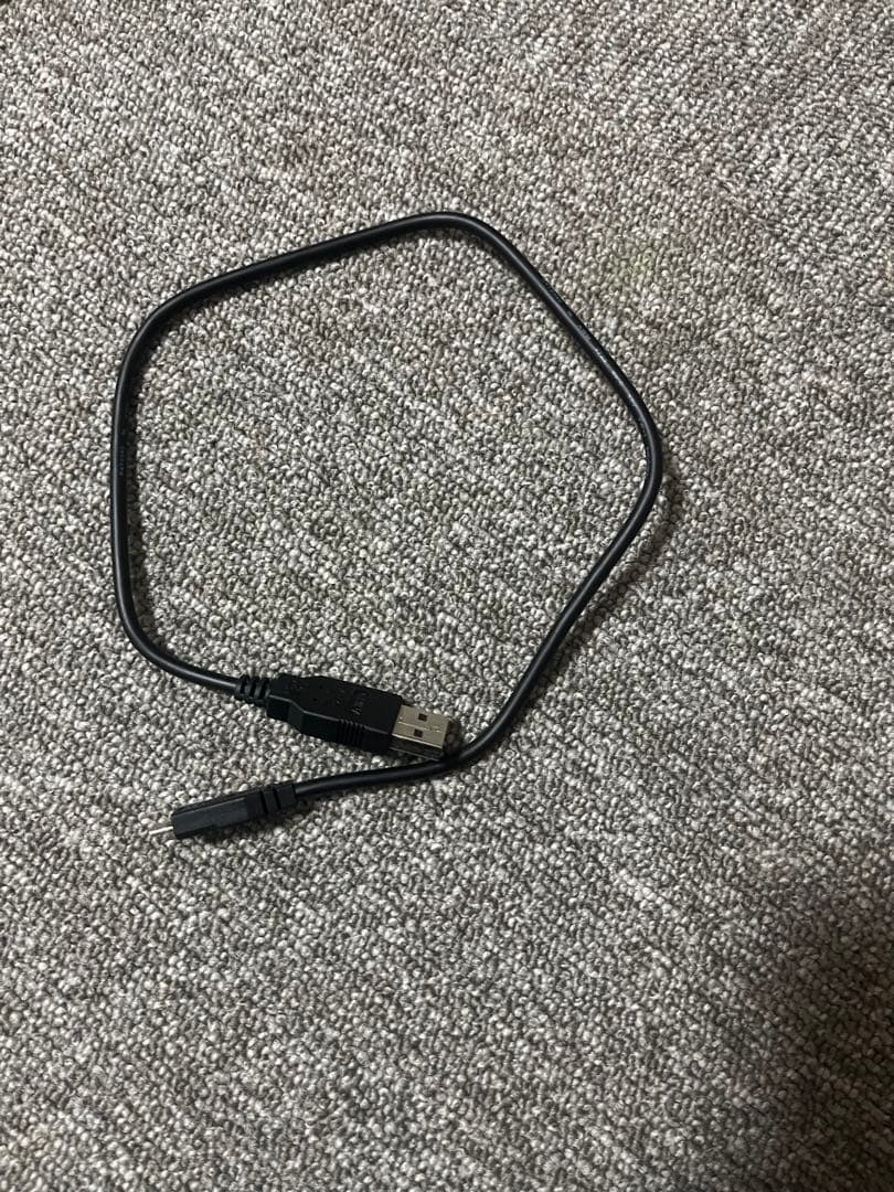 アクセサリー GARMIN Varia RTL515