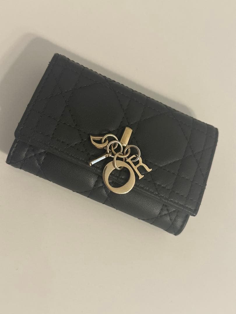 【最終値下げ】My Dior Aster キーケース