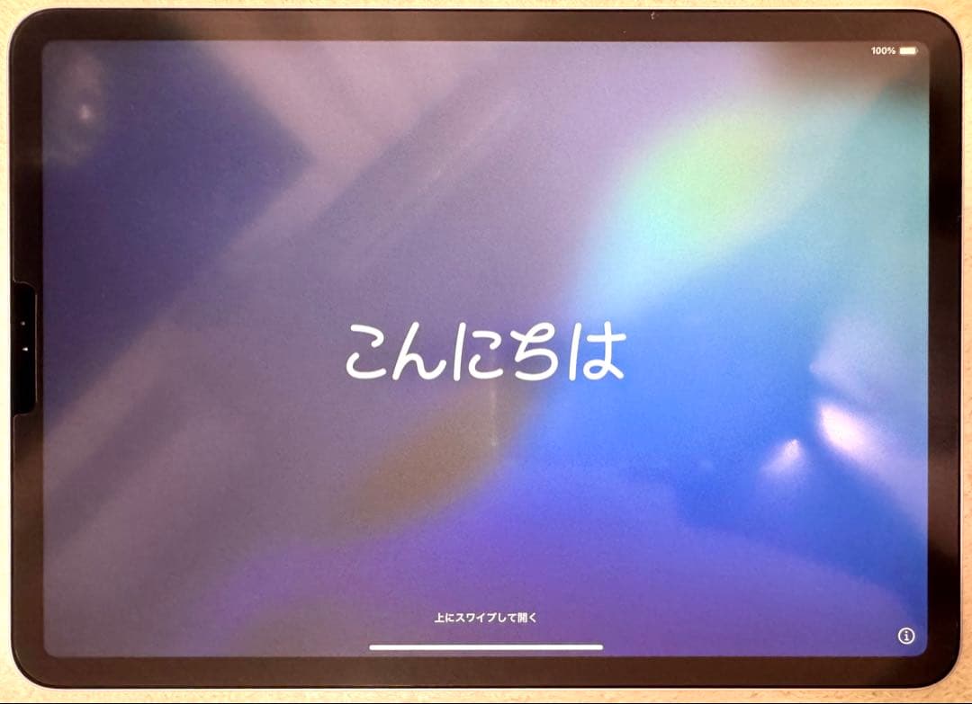 iPadpro（第一世代） 11インチ シルバー 本体