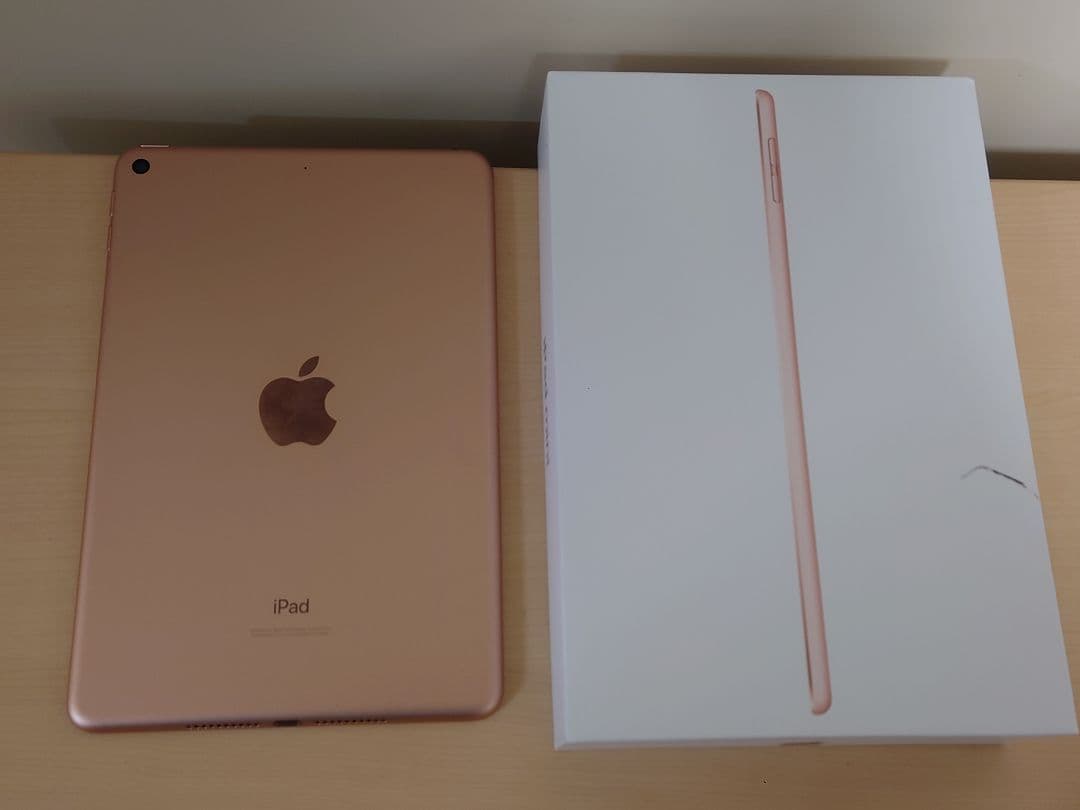 ま*ら様 ジャンク iPad mini5 本体 第5世代 256GB