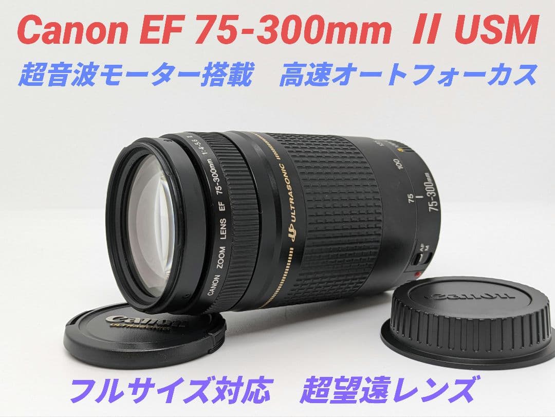 4月20日限定価格【超望遠レンズ】Canon EF 75-300mm Ⅱ USM
