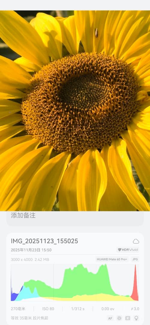 【美品】HUAWEI Mate60pro plus