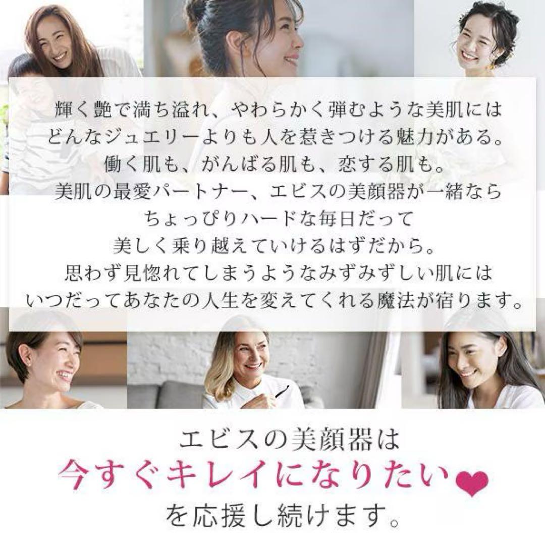 【美品】ツインエレンナイザー プレミアム