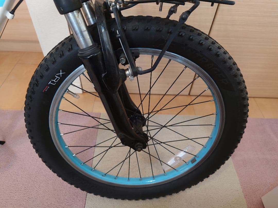 TREKPrecaliber 20インチ(子供用自転車) 身長114-132cm