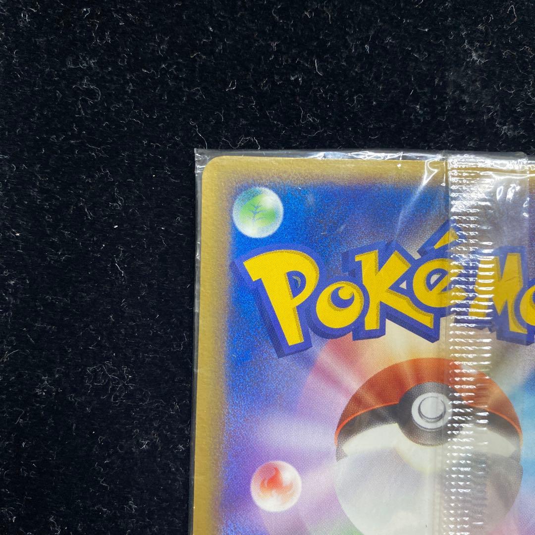 ポケパークのゴンベ　040/PCG-P わんぱくトレイン　ポケカ