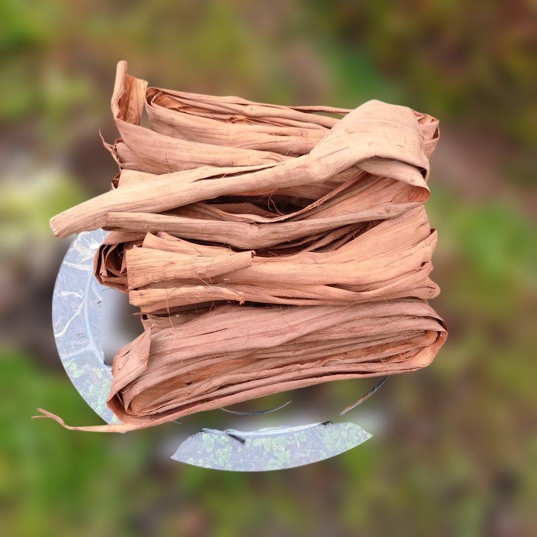 さーちゃん 青森岩木山産 山葡萄 皮 樹皮 約2kg