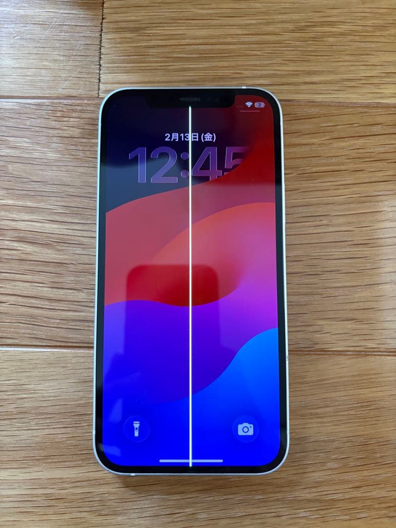 [起動可 ジャンク品] iPhone 12 本体 背面割れ 液晶漏れ