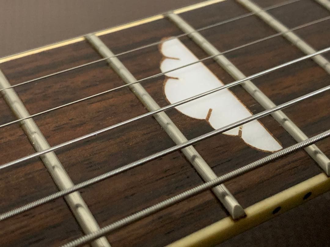 フォトジェニック Photo Genic モッキンバード エレキギター hide