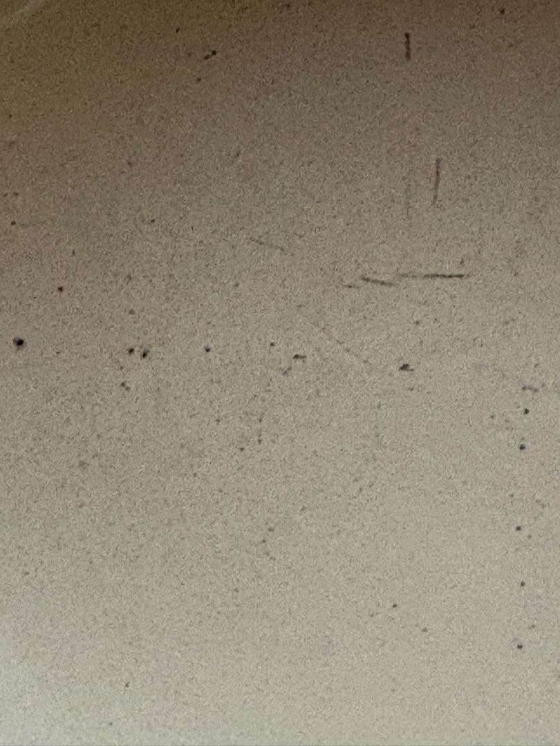 ルクルーゼ ビンテージココット Enzo Mari La Mama