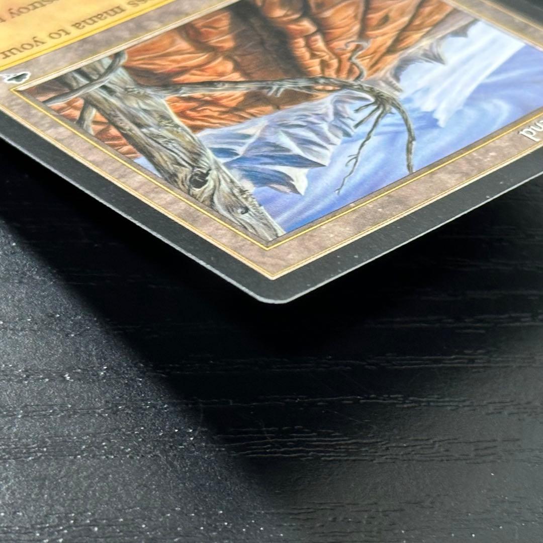 MTG 不毛の大地 英語 初版 2枚