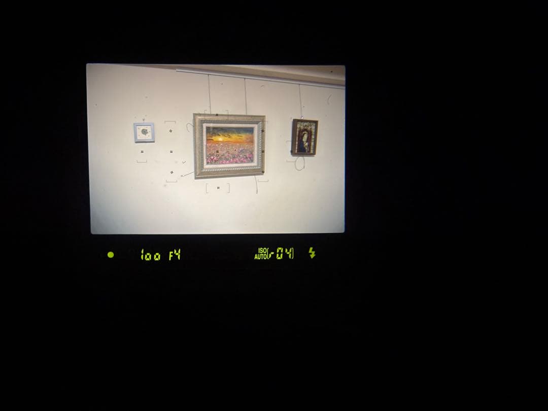 Nikon D3300 レンズキット 動作確認済 ショット数3288 レンズカビ