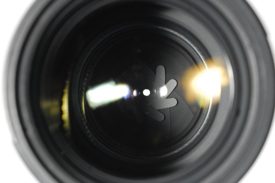 レンズ(ズーム) NIKON AF-S 70-200mm f/2.8 G ED SWM L0199