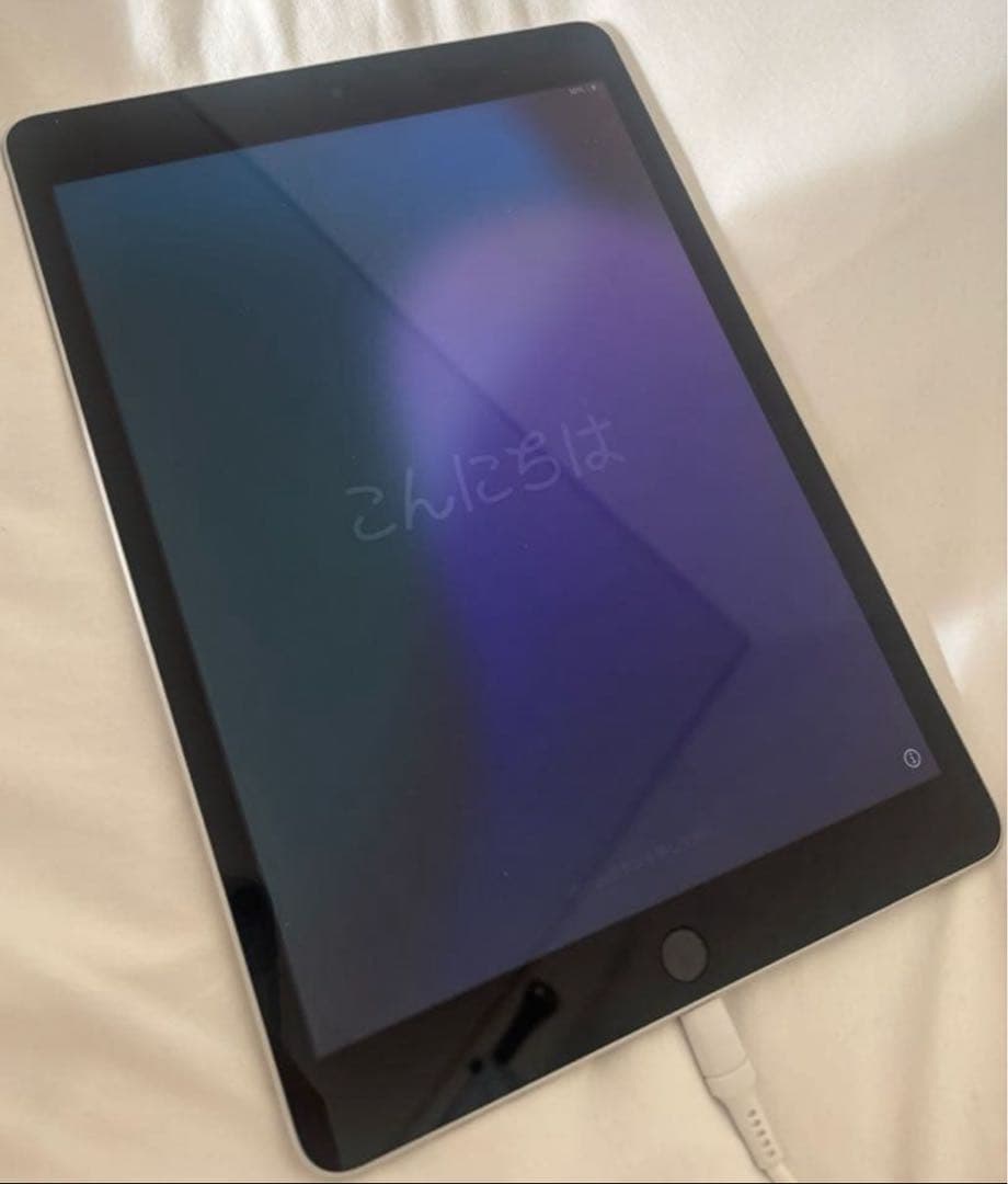 iPad 第9世代 256GB （Wi-Fiモデル）