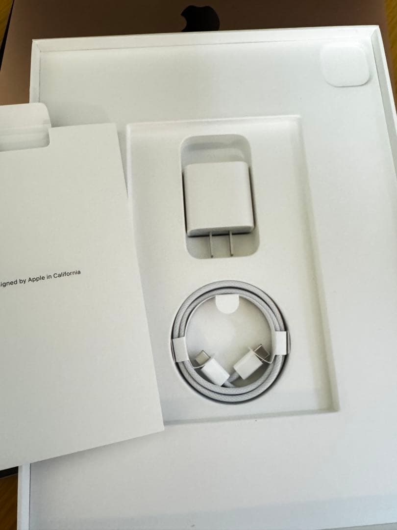 Apple iPad Pro 12.9インチ スペースグレー 本体 第6世代