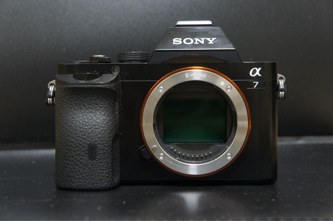 SONY α7 初代 ILCE-7 充電器　バッテリー付 ショット数10898回