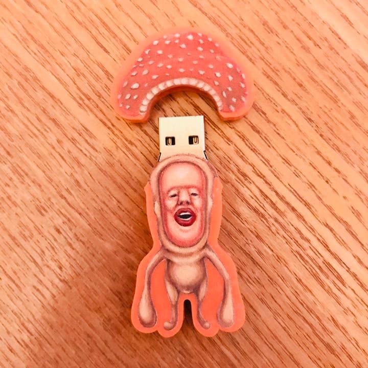 【匿名配送／送料無料】こびとづかん USBメモリ