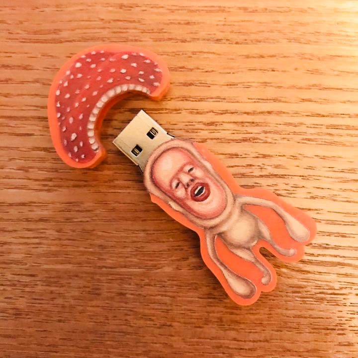 【匿名配送／送料無料】こびとづかん USBメモリ