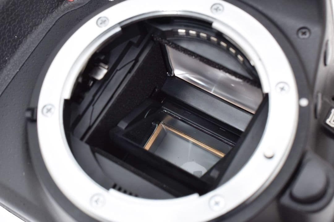 初心者さんに◎超美品✨ニコン D3100✨標準ズーム シングルレンズセット✨軽量