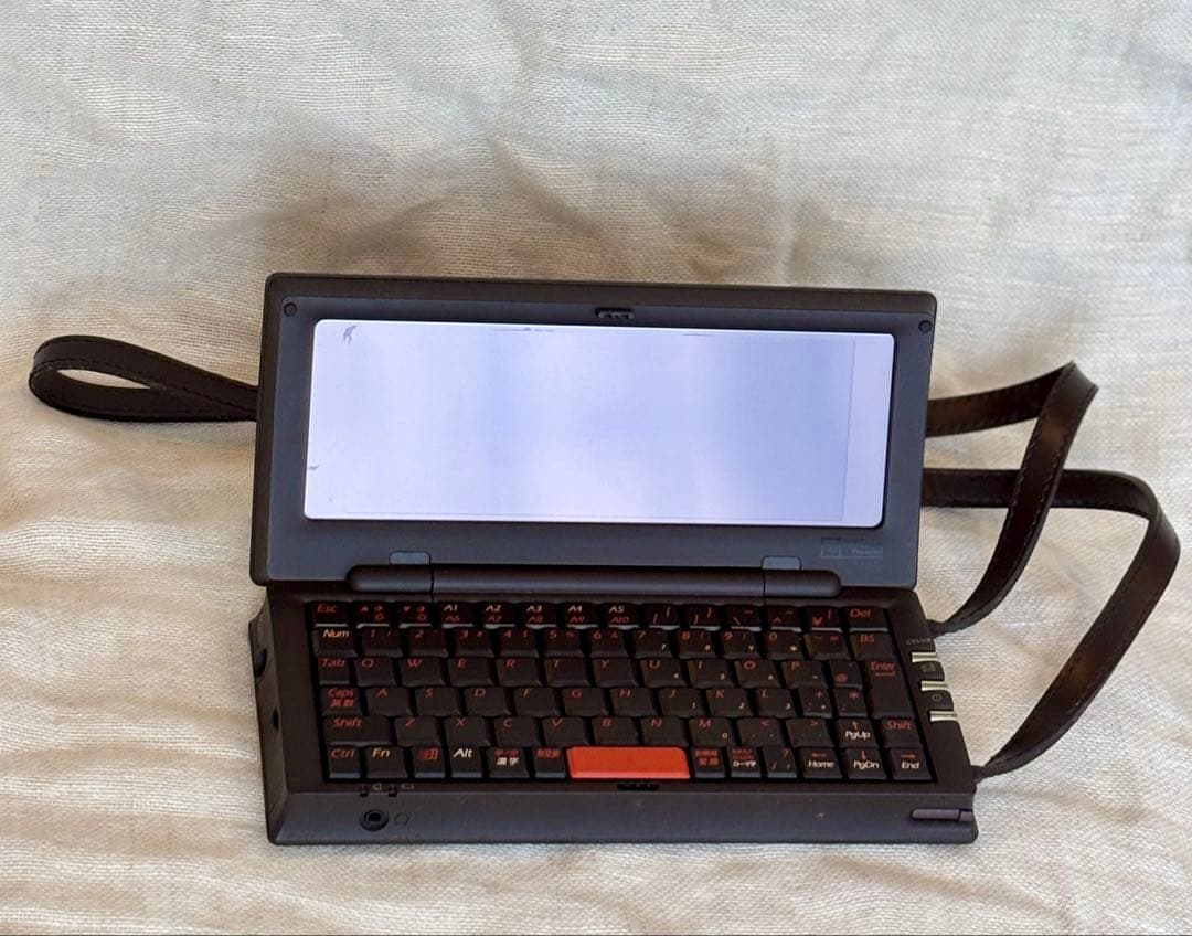 お値下げ✨ルイ・ヴィトン CELUX ダミエ クラヴィエPC レア品