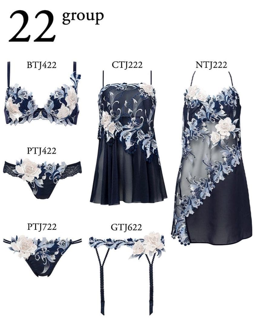 サルート22グループPアップブラソングセット(ネイビー)