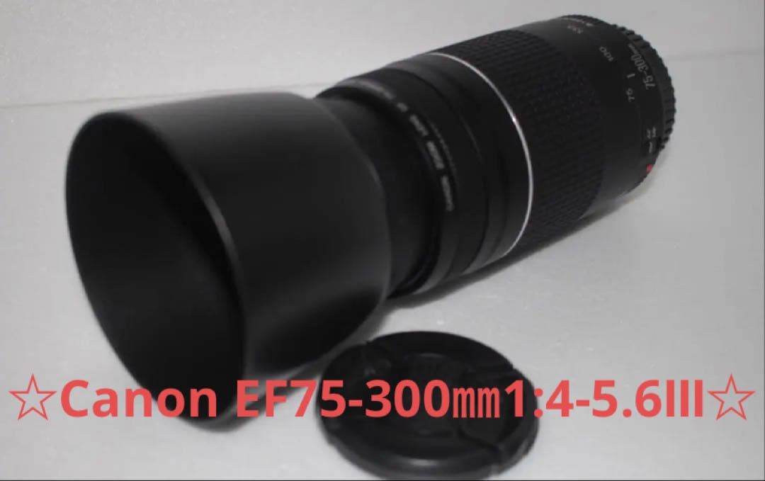 スポーツ/イベント等/望遠レンズ/Canon EF75-300㎜1:4-5.6Ⅲ