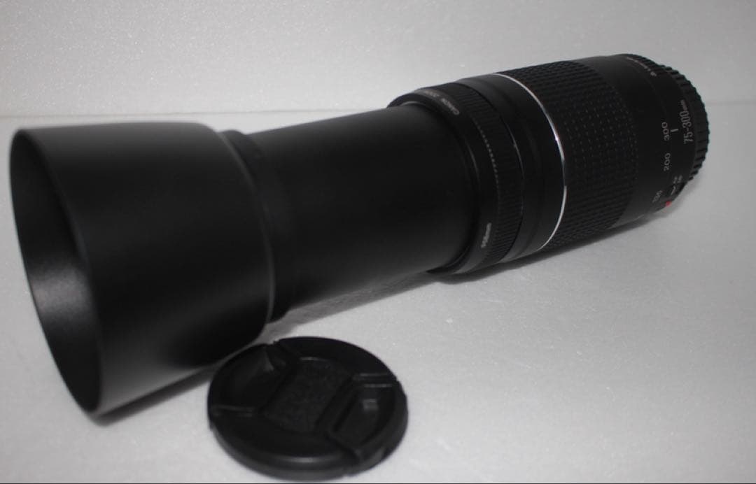 スポーツ/イベント等/望遠レンズ/Canon EF75-300㎜1:4-5.6Ⅲ