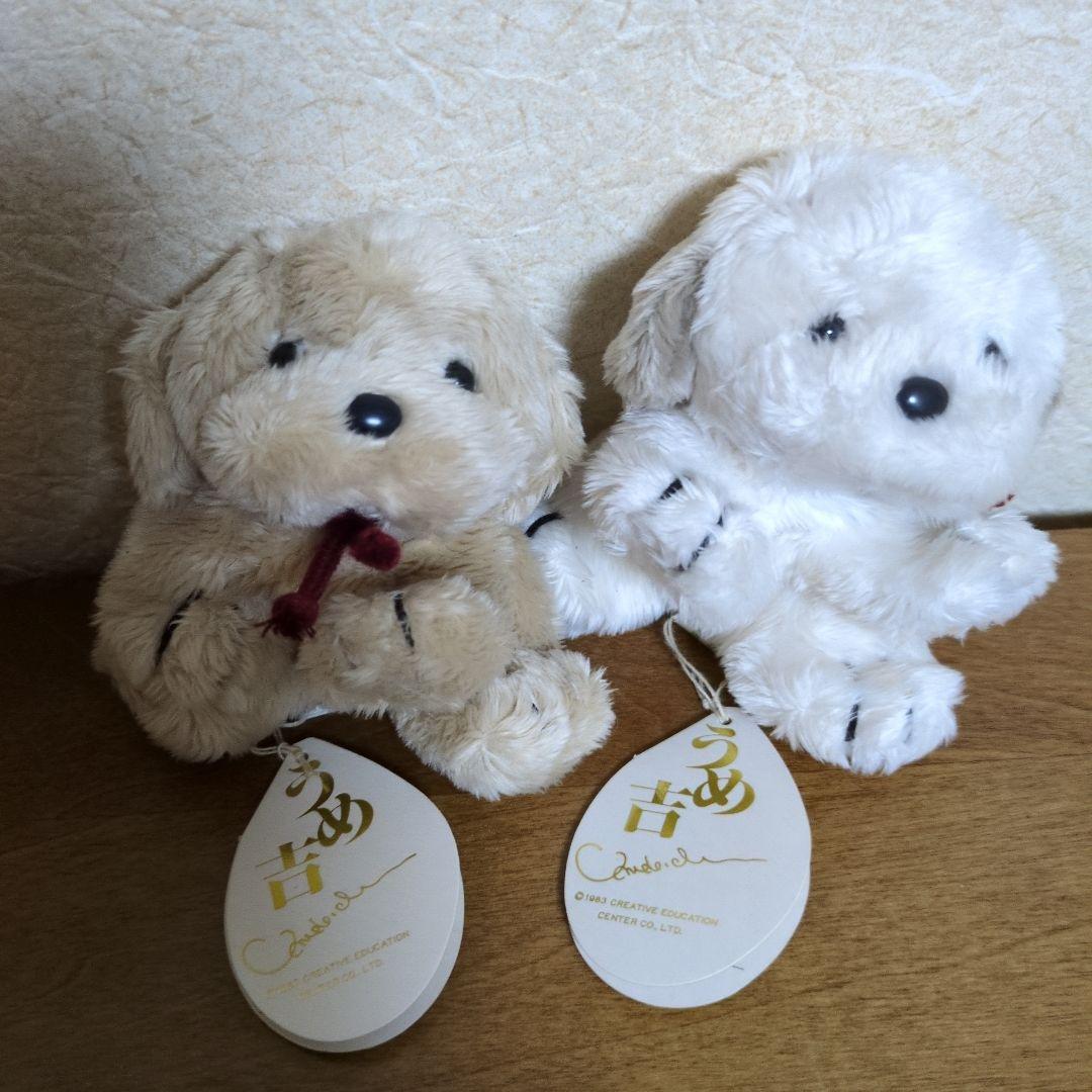 c*♡様 うめ吉　ぬいぐるみ　くたくた