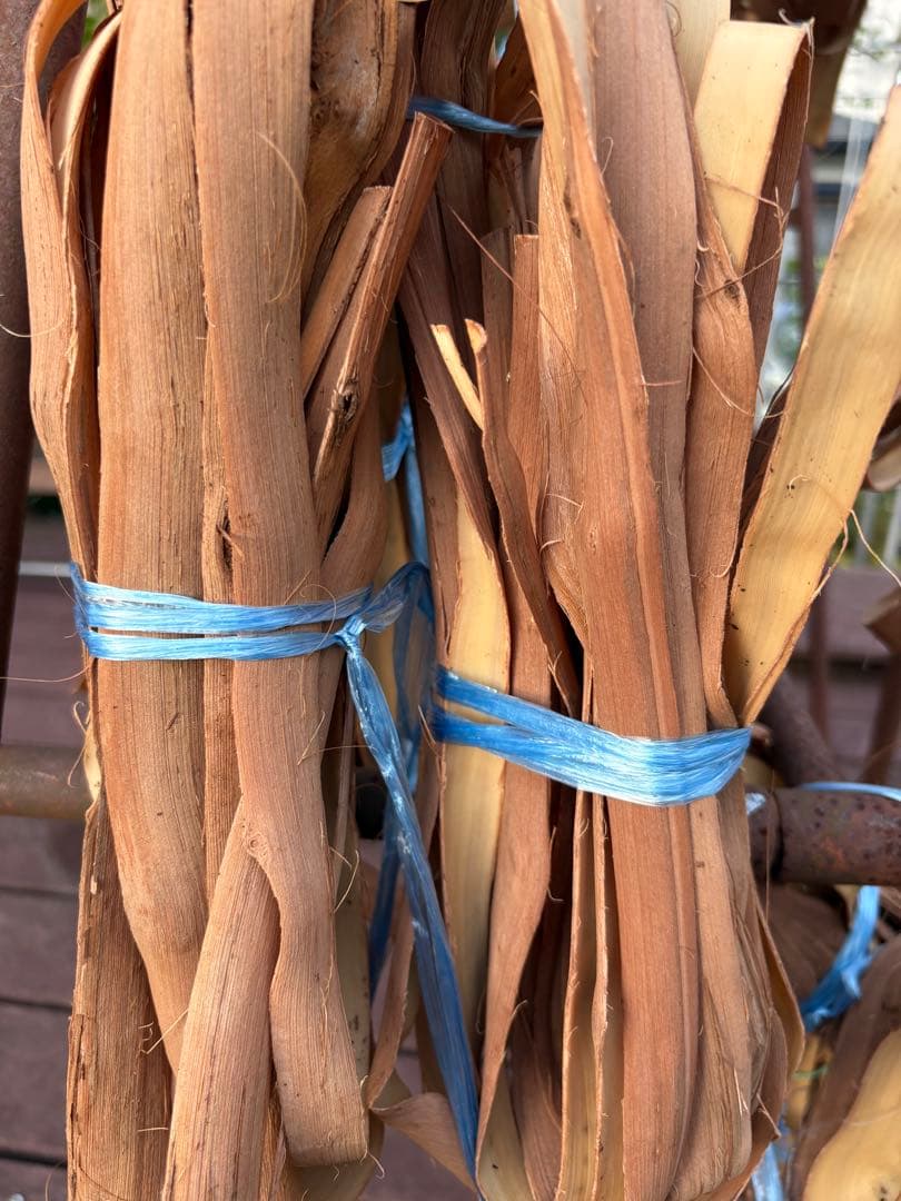 岩手県産山葡萄　樹皮　S級　①