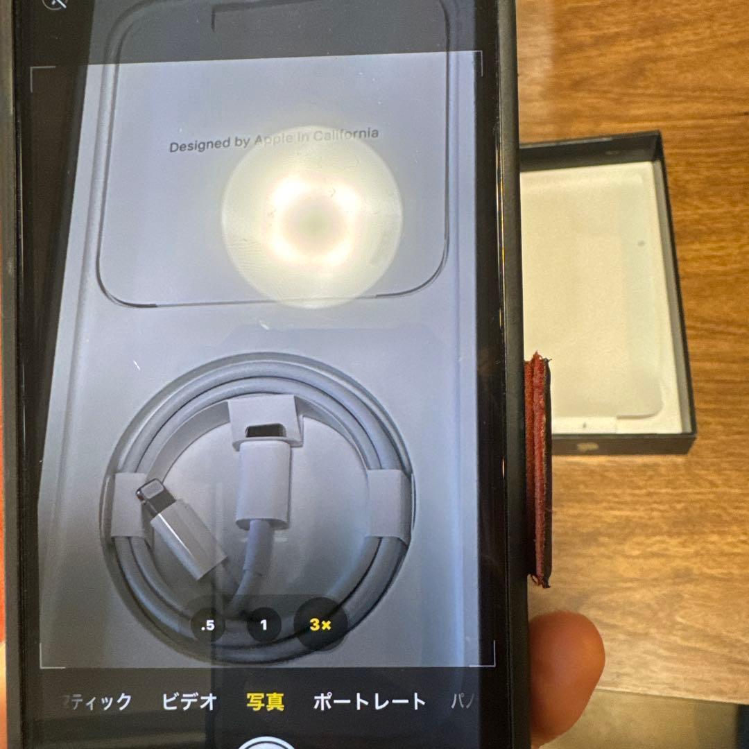 【美品】iPhone 13 Pro Max 256GB SIMフリー（おまけ付）