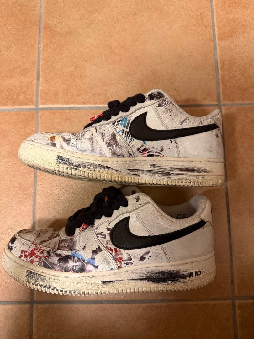 ナイキパラノイズ　26cm