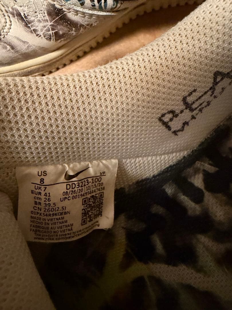 ナイキパラノイズ　26cm