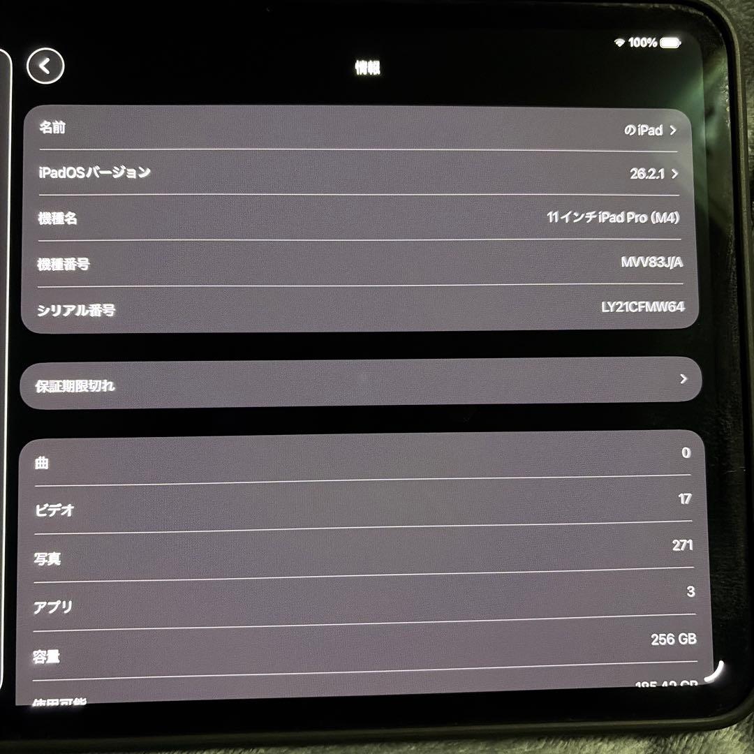 11インチiPad Pro (M4) 256GB 本体