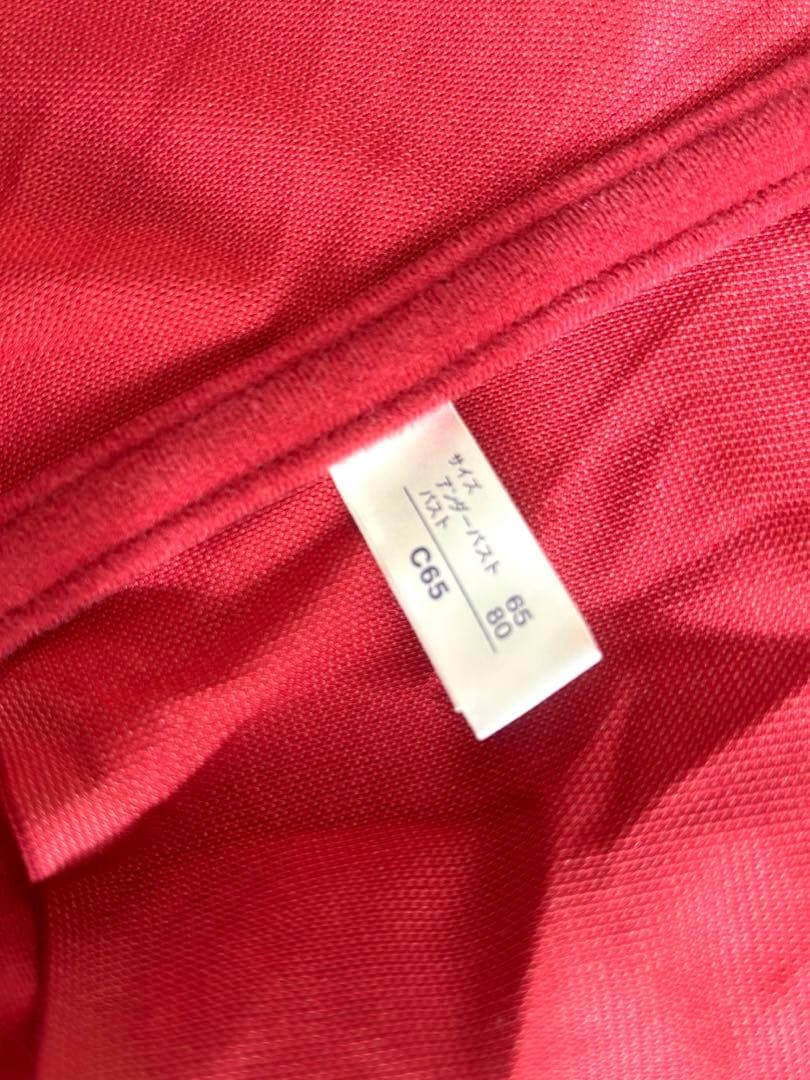 未使用✨カーヴィシャス限定色✨ロングブラジャー &ショートガードル