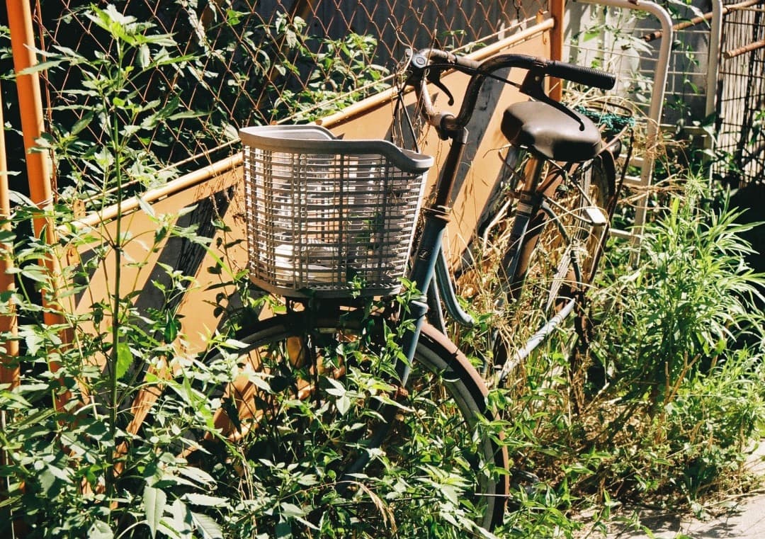 【動作品】Canon AE-1Program＋NEW FD 50mm f1.8