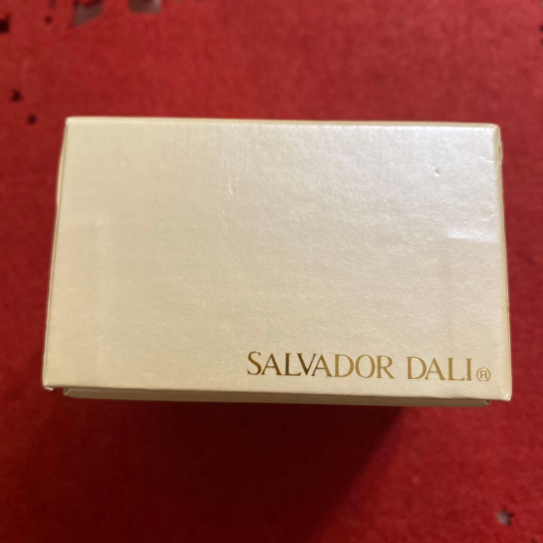 ✨美品 ✨SALVADOR DALI アイオブタイム 腕時計 電池交換済 稼働品