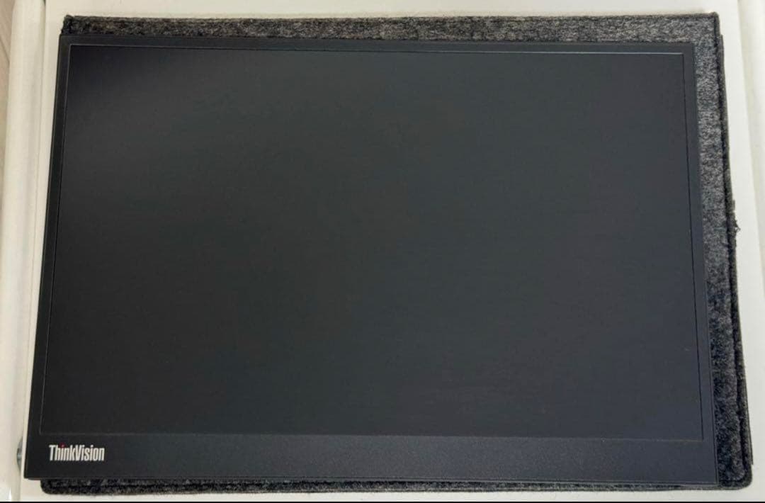 Lenovo ThinkVisionM14d メーカー保証残あり