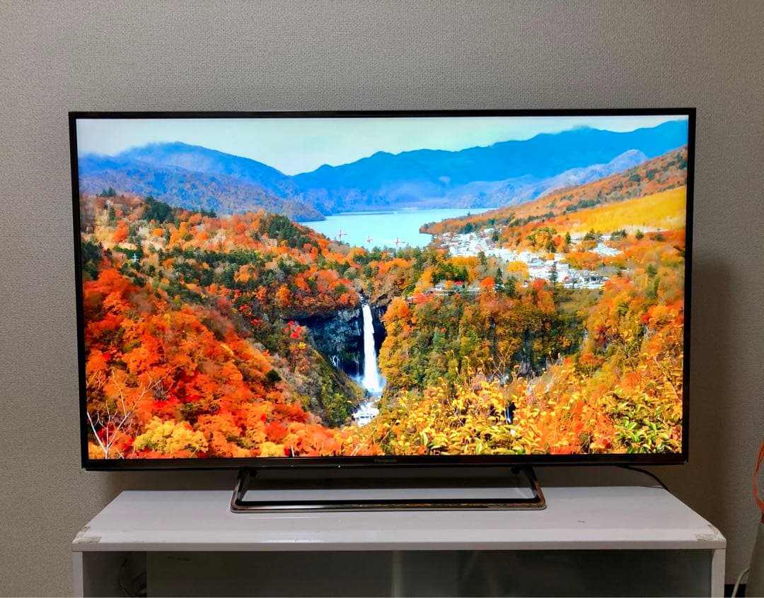 Panasonic プレミアム4K液晶テレビ　TH-49CX800 49インチ