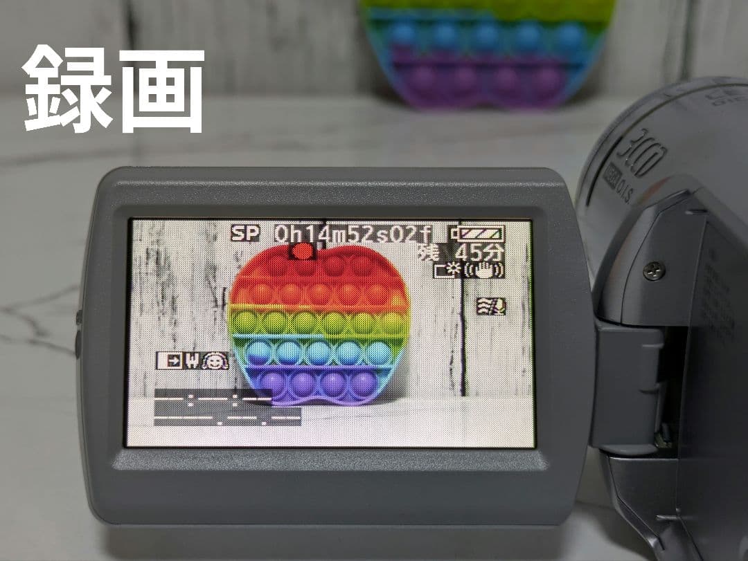 Panasonic　NV-GS300　MiniDV対応