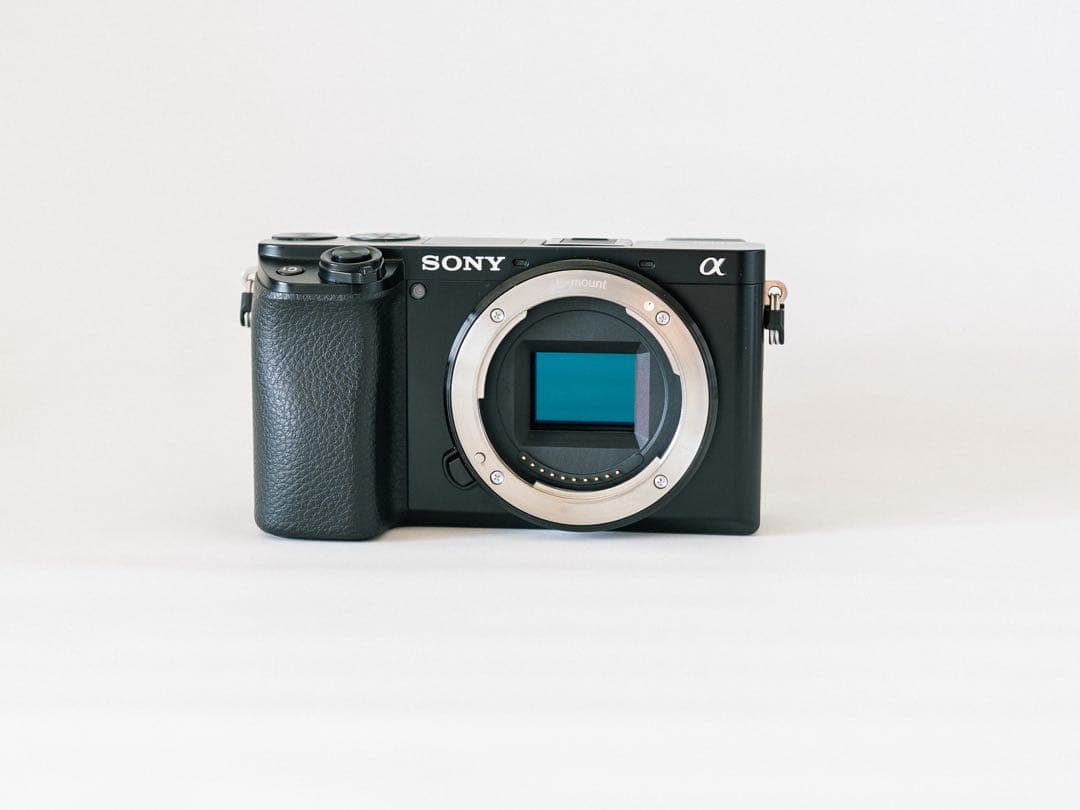 SONY(ソニー) α6100 ミラーレス一眼 パワーズームレンズキット