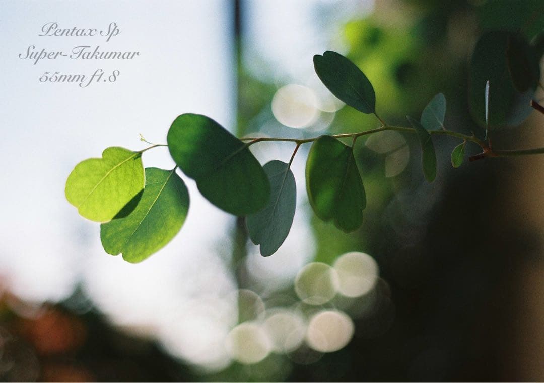 pentax sp＊純正カメラバッグ付き＊フルセット＊完動品＊美品＊初期保証