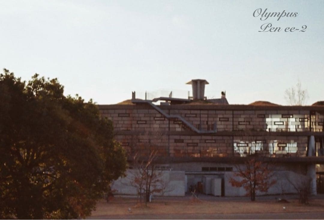 ★フィルム入門♪超美品！オリンパスPen EE-2★完動品＊初期保証＊作例多数