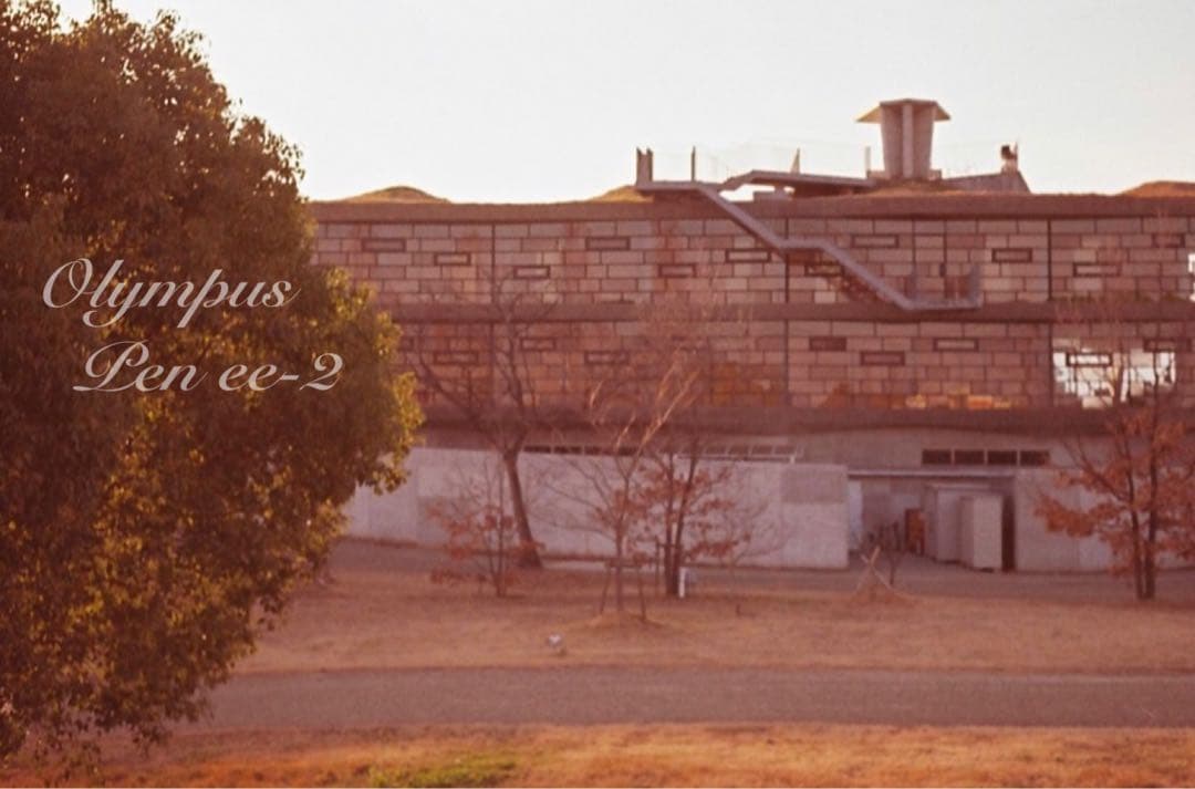 ★フィルム入門♪超美品！オリンパスPen EE-2★完動品＊初期保証＊作例多数