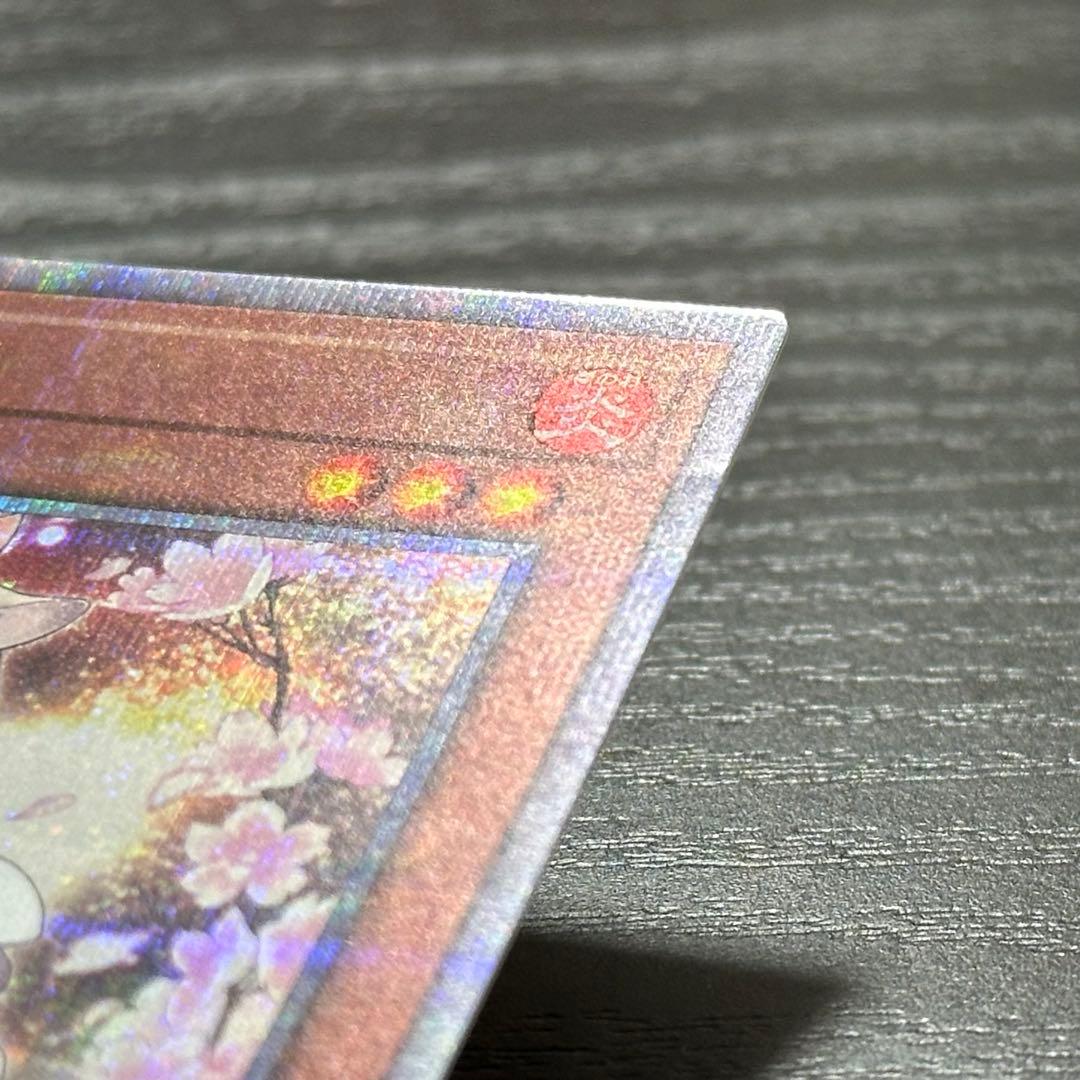 遊戯王 灰流うらら 25th 絵違い